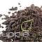 Cacao Nibs from Supple Skin Boutique
