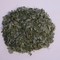 Moringa from It's Moringa