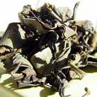 Hawaii Mauka Oolong from Chi of Tea