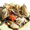 Chi of Kapha from Chi of Tea