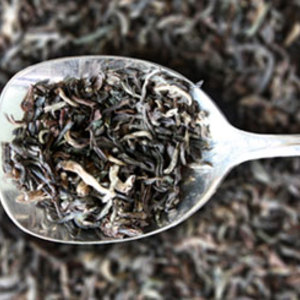 Assam Tippy - Khongea Estate from TeaVert