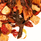 Fruit Fusion from The Persimmon Tree Tea Company