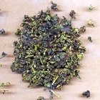 Taiwan Everspring Sijichun Kultivar from Kolodziej and Lieder