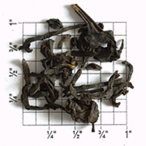 Banaspaty Estate FTGFOP1 Organic (TA19) from Upton Tea Imports