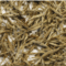Silver Needle from Bird Pick Tea & Herb
