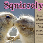 Squirrely from Adagio Teas