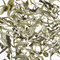 Namring Upper White Tea 2010 from Golden Tips