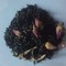 Earl Grey Cream from Sands Of Thyme