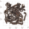 Frances Bissell's Special Blend from Upton Tea Imports