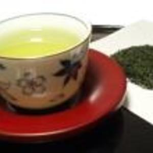 Organic Gyokuro from Hibiki-an