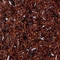 Chocolate/Cream/Truffles Rooibos from ESP Emporium