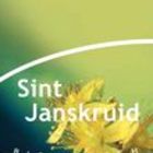 Sint Janskruid (St John's Wort) from Piramide thee