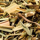 Throat Soother from DAVIDsTEA