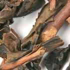 Golden Dragon Oolong from Urbàna Teas & Tonics