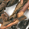 Golden Dragon Oolong from Urbàna Teas & Tonics