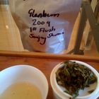 First Flush 2009 Darjeeling Glenburn estate from Postcard Teas