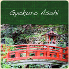 Gyokuro Asahi from CoffeeAM