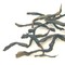 Lingtou Dancong from Qing Tea