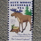 Blue Moose Blueberry Tea from The Colonial Cupboard