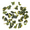 San Lin Xi, Winter 2010 from Red Blossom Tea Company