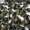 Li Shan from Stone Leaf Teahouse
