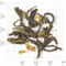 China Guangxi Gui-Hua Osmanthus Tea from Upton Tea Imports