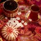 Persian Princess from The Devotea