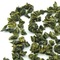 Dong Ding from Tea Cuppa