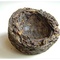Sheng Tuo Cha from Tea Chai Te
