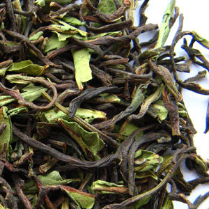 Nilgiri Parkside from Camellia Sinensis