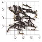 Sichuan Zao Bei Jian (ZK55) from Upton Tea Imports