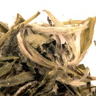 Drum Mountain White Cloud from In Pursuit of Tea