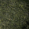 Yame Gyokuro 2010 from American Tea Room
