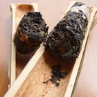Wen Shan Bamboo Sheng Cha from Stone Leaf Teahouse