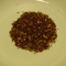 Kumquat Spice Bush from Custom