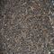 Golden Pu-erh 5 Years from Capital Teas