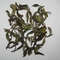 Castleton Moonlight Ex-3 1st Flush Darjeeling tea 2011 from Tea Emporium
