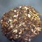 Apricot Amaretto from Tea Forte