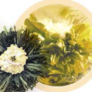 Emerald Sun from Numi Organic Tea