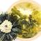 Emerald Sun from Numi Organic Tea