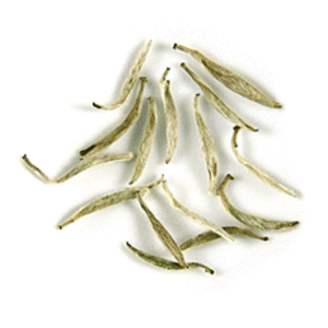 Yin Zhen Silver Needles from Tea Trekker