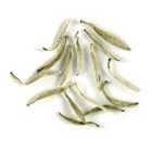Yin Zhen Silver Needles from Tea Trekker