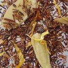 Bourbon Street Vanilla Rooibos from Wisdom Tea Shop