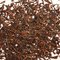 Nilgiri Oolong from Tea Licious