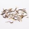 Ye Sheng Wild White from Canton Tea Co