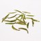 Snow Buds (Xue YA) from Canton Tea Co