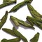 2011 Xi Hu Long Jing Wang Grade from Amazing Green Tea