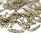 Golden Wheat Head from Red Leaf Tea