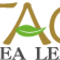 Imperial Golden Pu Er from Tao Tea Leaf