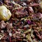 Midsummer Night's Dream from DAVIDsTEA